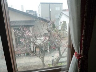 戸建（手稲区曙1条1丁目）の物件内観写真